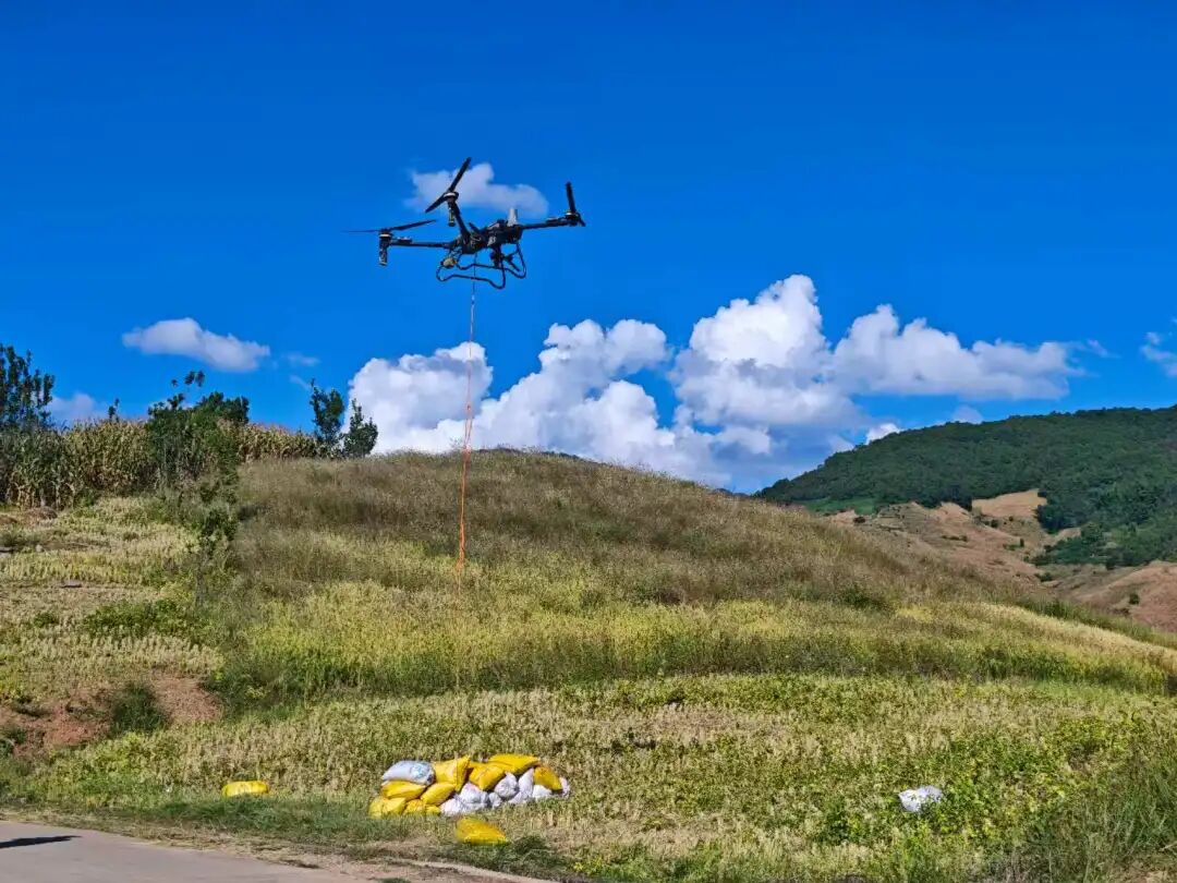 墨江县新安镇:低空经济“飞”入田间 科技赋能玉米丰收