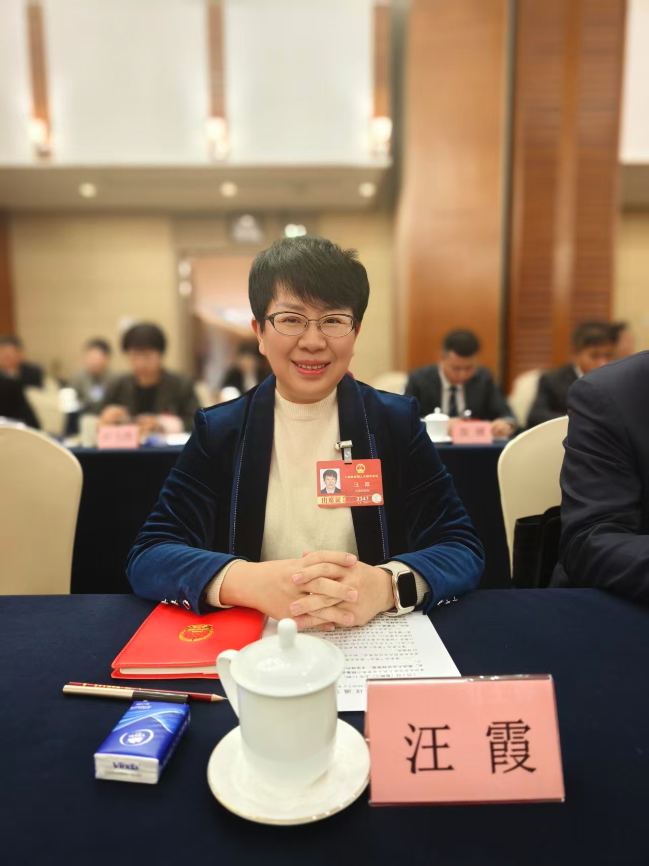 全国人大代表汪霞:让红河州产业转型从低空起飞