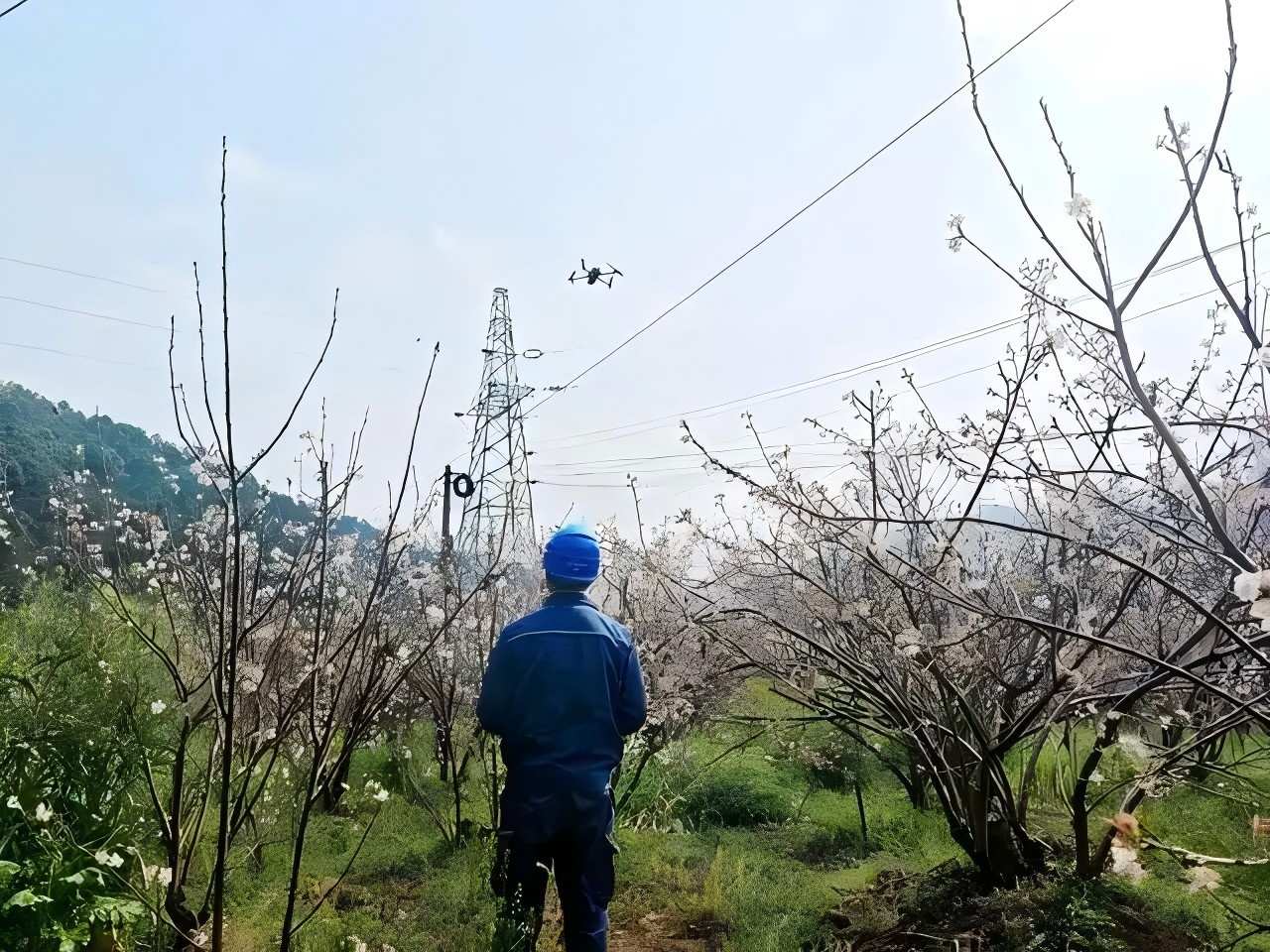 f3d3572c11dfa9ec2102c2de0fd98712908fc1e2(1).jpg f3d3572c11dfa9ec2102c2de0fd98712908fc1e2(1).jpg