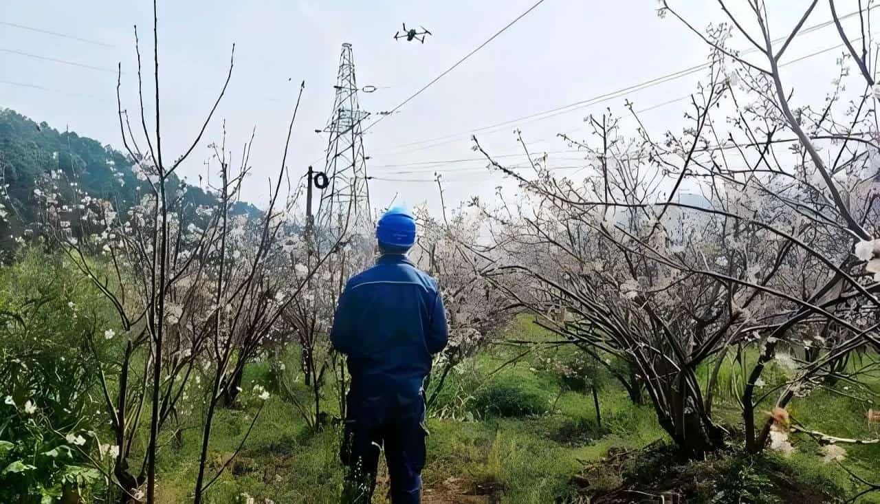 昆明供电局打造电力低空经济发展“昆明模式”